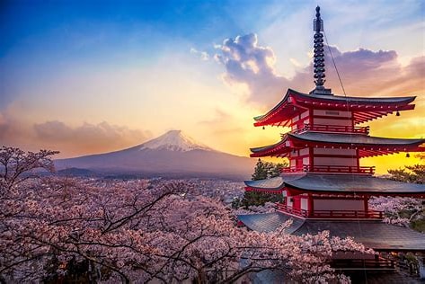 Mt Fuji with blossoms