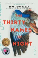 Image for "The Thirty Names of Night"
